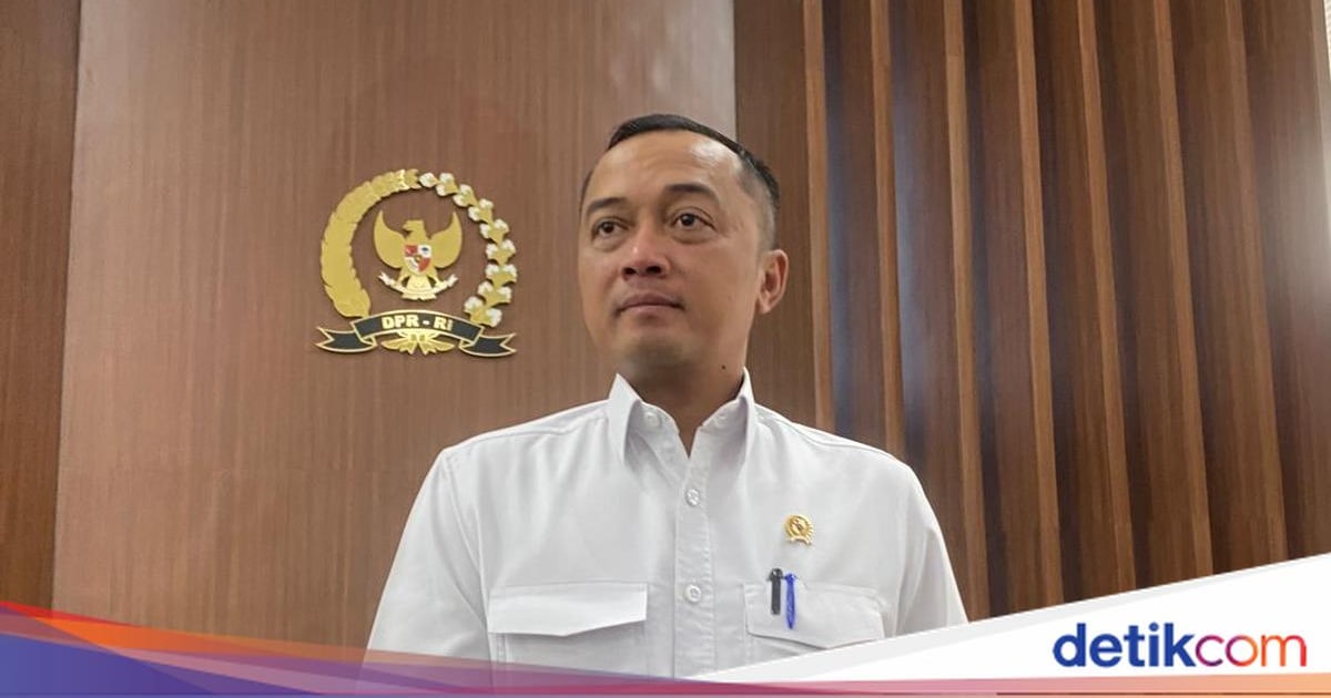 Alasan Prabowo Tunjuk Nanik Jadi Ketua Dewas BGN Terungkap