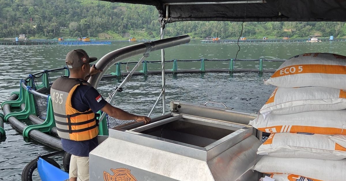 Bappenas Kembangkan "blue Food" guna Tingkatkan Konsumsi Ikan