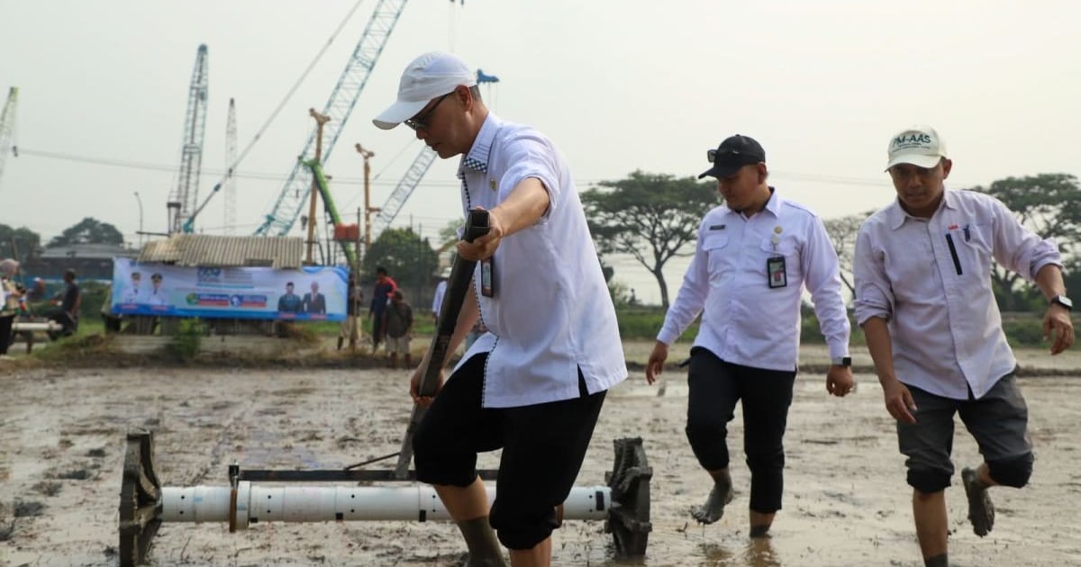 DKPP Serang Terapkan Pertanian Modern di Lahan 500 Hektare
