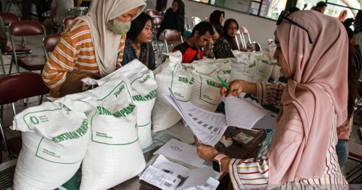 Ekonom Nilai Bantuan Beras 30 Kg Ringankan Beban Belanja Keluarga