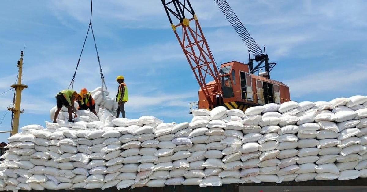 Indef Nilai Tata Kelola Tepat Perkuat Manfaat Bantuan Pangan