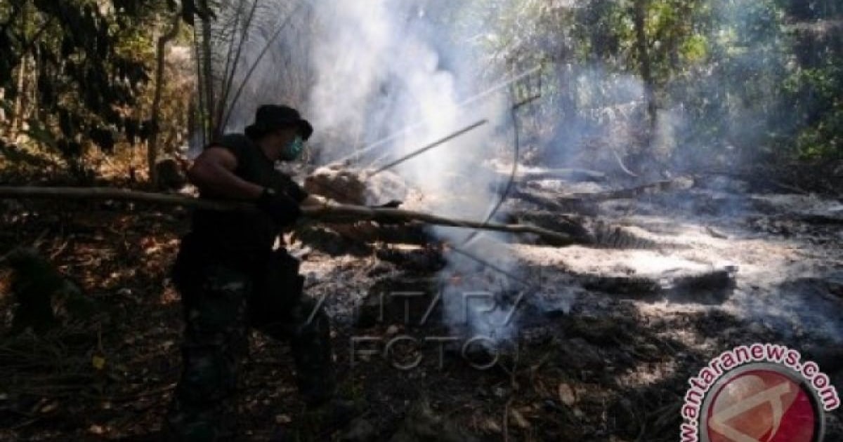 Karhutla di Minahasa-minahasa Utara Sudah Dalam Kendali Petugas