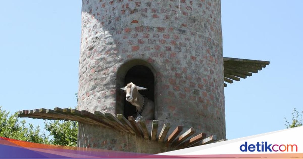 Menara Kambing: Keunikan Arsitektur dari Portugal hingga Afrika Selatan