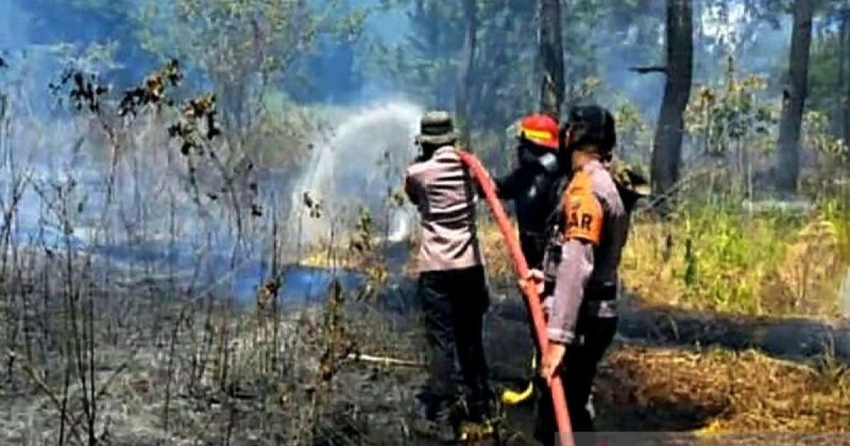 Penyiraman Darat Berhasil Padamkan Karhutla di Mamuju & Minahasa