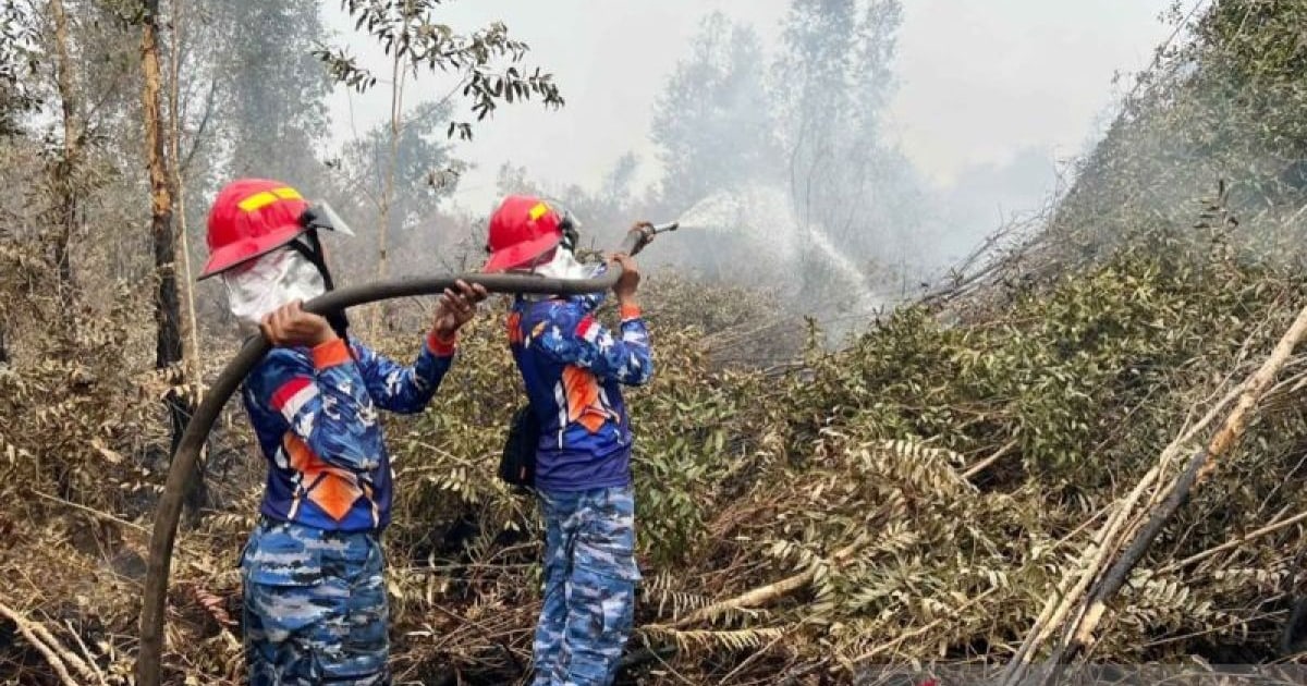 Satgas Darat Lanud Sjamsudin Noor Perkuat Pembasahan Lahan Gambut
