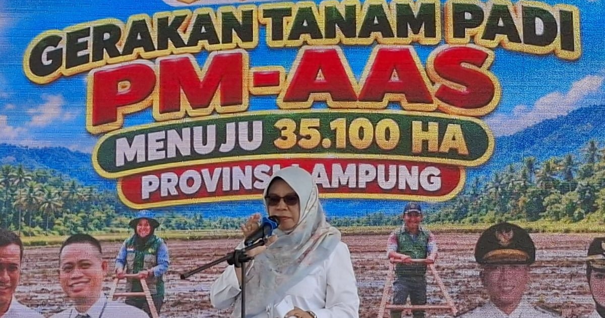 September Maksimalkan Tanam Padi Jaga Stok Beras