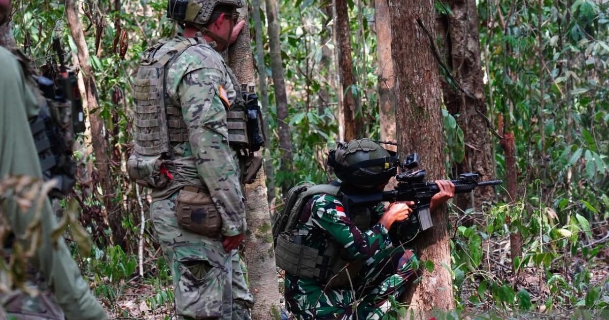 TNI dan US Army Asah Kemampuan Tempur di Hutan Lewat SGS