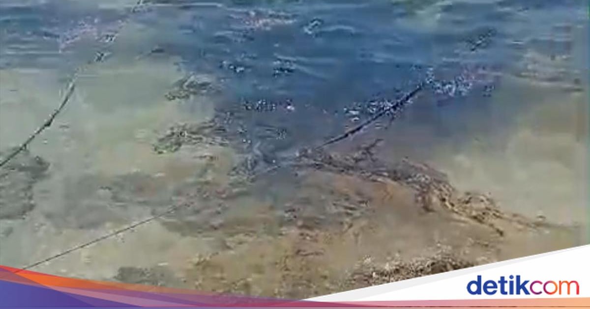 Tumpahan Oli di Pulau Semau Mencapai 6 Ton